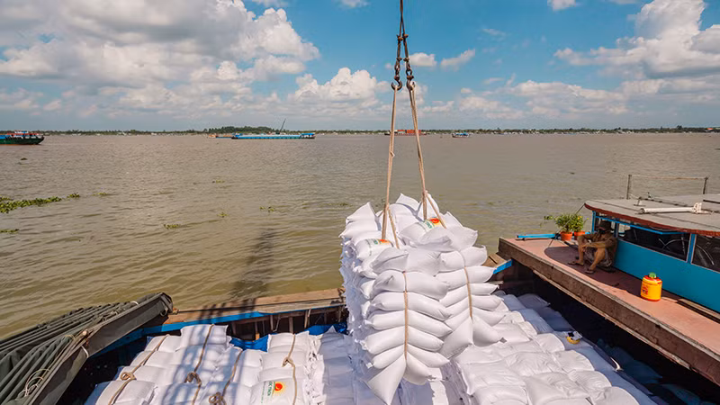 Lộc Trời xuất khẩu hàng hóa ra nước ngoài.