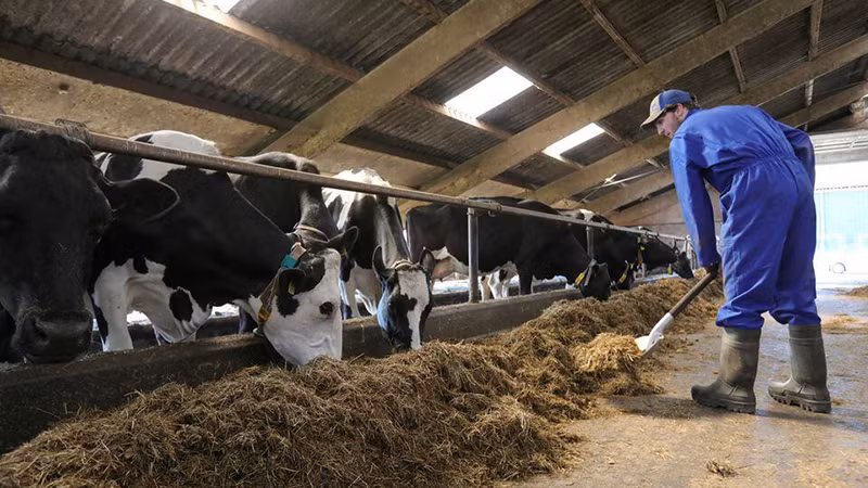 Ảnh minh họa. (Nguồn: Reuters)