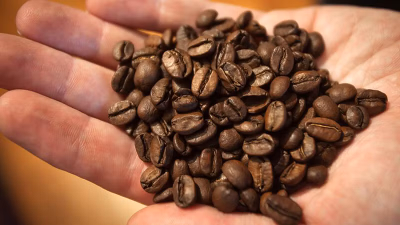 Ảnh minh họa. (Nguồn: Reuters)