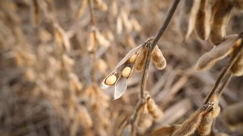 Ảnh minh họa. (Nguồn: Reuters)
