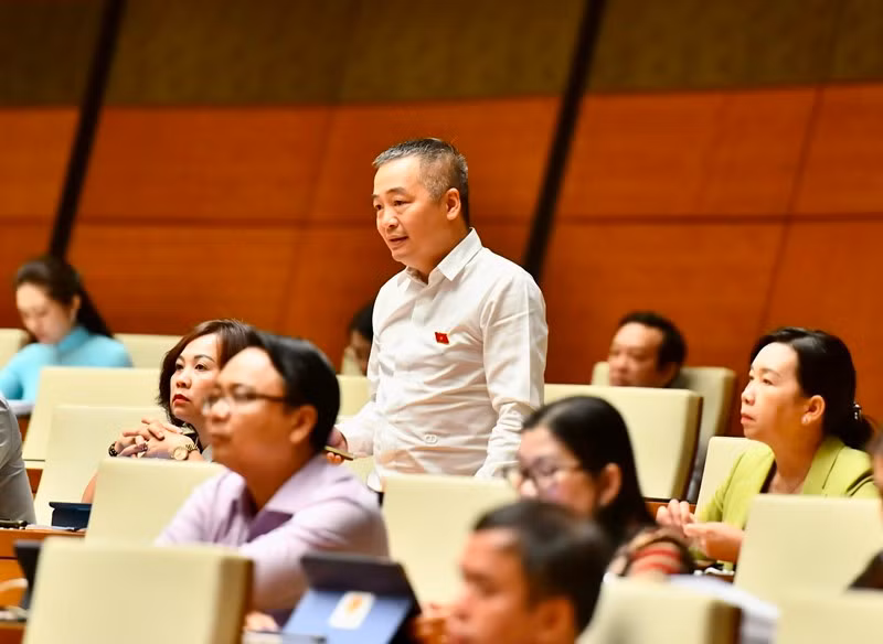 Đại biểu Nguyễn Lân Hiếu - Đoàn đại biểu Quốc hội tỉnh Bình Định phát biểu. (Ảnh: ĐĂNG KHOA)