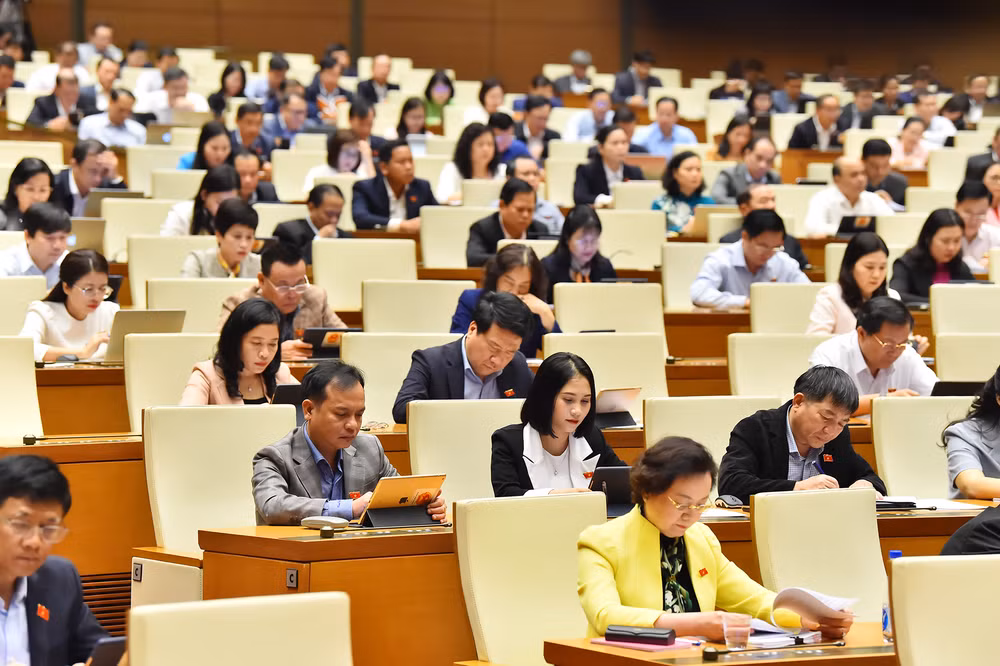 Các đại biểu Quốc hội làm việc tại hội trường, sáng 22/11. (Ảnh: THỦY NGUYÊN)