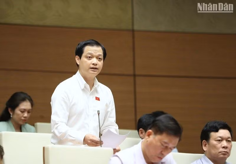 Đại biểu Nguyễn Hải Nam (Thừa Thiên Huế) phát biểu. (Ảnh: ĐĂNG KHOA)