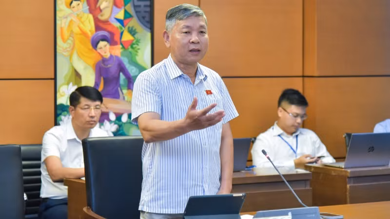 Đại biểu Nguyễn Hoàng Mai - Đoàn đại biểu Quốc hội tỉnh Tiền Giang.