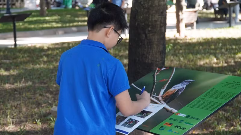 Khán giả nhí ghi chép lại thông tin về chim hoang dã Hà Nội tại triển lãm.