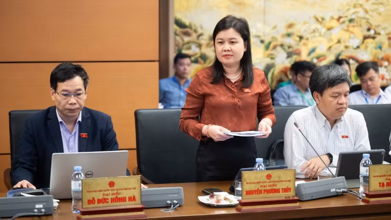 Đại biểu Nguyễn Phương Thủy (Hà Nội).