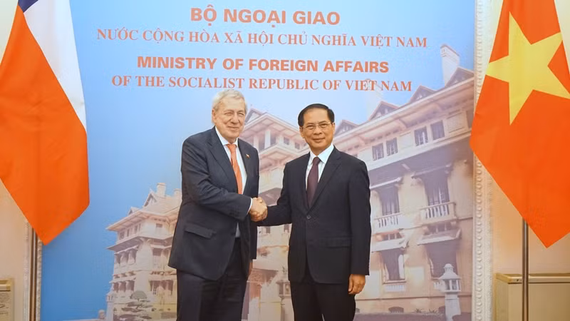Bộ trưởng Ngoại giao Bùi Thanh Sơn và Bộ trưởng Ngoại giao Chile Alberto Van Klaveren. (Ảnh: TRUNG HƯNG) 