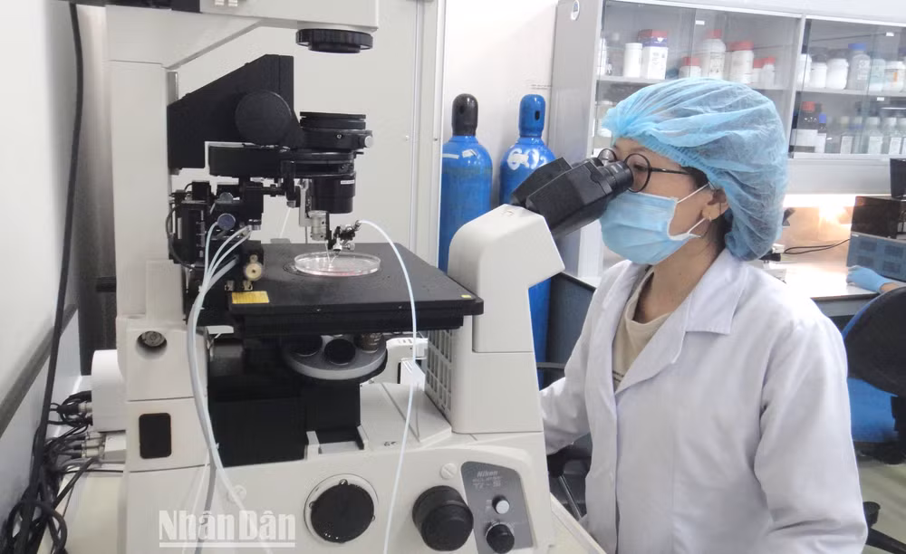 Hoạt động nghiên cứu khoa học tại Đại học Quốc gia Thành phố Hồ Chí Minh.