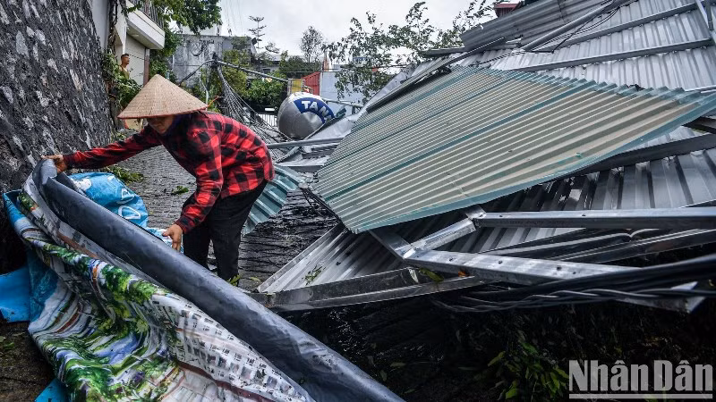 Người dân Quảng Ninh khẩn trương khắc phục hậu quả sau bão số 3. (Ảnh: THÀNH ĐẠT)