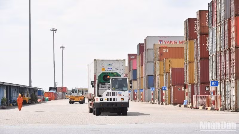 Bốc xếp container tại cảng Đình Vũ, Hải Phòng. (Ảnh minh họa: THÀNH ĐẠT)