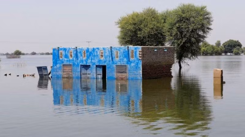 Một tòa nhà bị nhấn chìm trong nước lũ sau những trận mưa lớn do gió mùa ở thị trấn Talti, Sehwan, Pakistan, ngày 15/9/2022. (Ảnh: Reuters) 