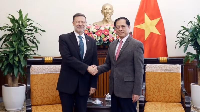 Phó Thủ tướng Chính phủ, Bộ trưởng Ngoại giao Bùi Thanh Sơn tiếp Đại sứ Australia đến chào từ biệt. (Ảnh: Báo Thế giới và Việt Nam) 