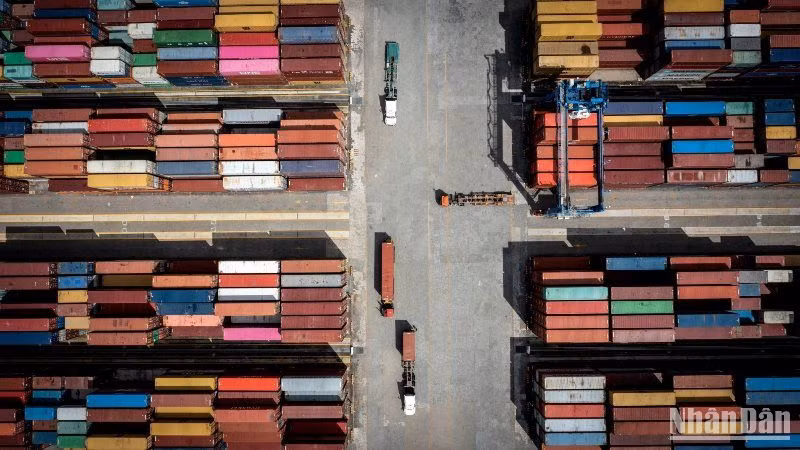 Bốc dỡ hàng hóa tại cảng Đình Vũ, Hải Phòng. (Ảnh minh họa: THÀNH ĐẠT) 