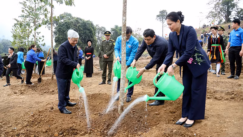 Đồng chí Đỗ Văn Chiến và các đồng chí lãnh đạo Trung ương Đoàn, lãnh đạo tỉnh Tuyên Quang trồng cây xanh hưởng ứng Tết trồng cây Xuân Ất Tỵ 2025 tại Vườn cây ơn Bác, thôn Tân Lập, xã Tân Trào, huyện Sơn Dương.