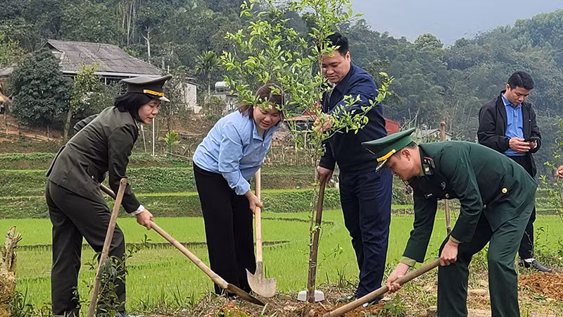 Phụ nữ các cấp cùng Bộ đội Biên phòng trồng cây mận tam hoa ở xã Yên Khương.