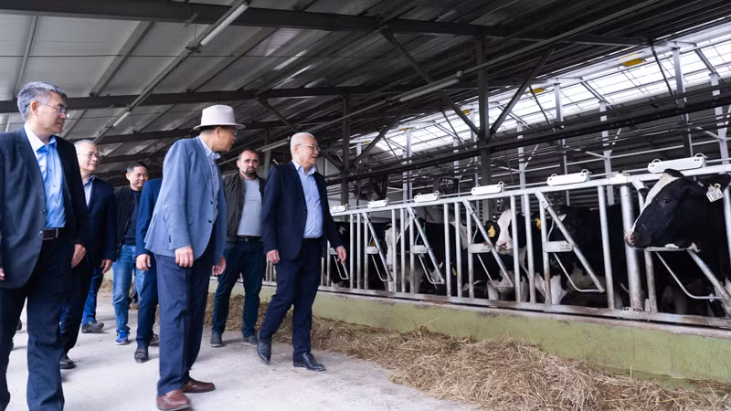 Đại sứ Việt Nam tại Nga Đặng Minh Khôi đến thăm trang trại bò sữa của Tập đoàn TH tại tỉnh Kaluga, Nga. (Ảnh: THANH THỂ)