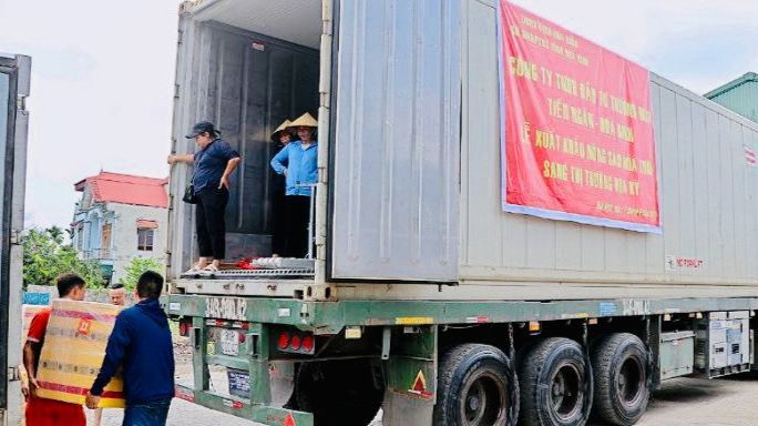 Mía tươi Hòa Bình được sơ chế theo đúng quy trình trước khi xuất khẩu.