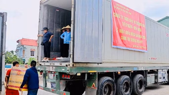 Mía tươi Hòa Bình được sơ chế theo đúng quy trình trước khi xuất khẩu.