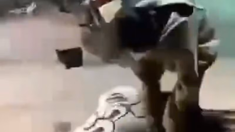 Một đối tượng đang đánh nữ sinh K.V. Một đối tượng đang đánh nữ sinh K.V.