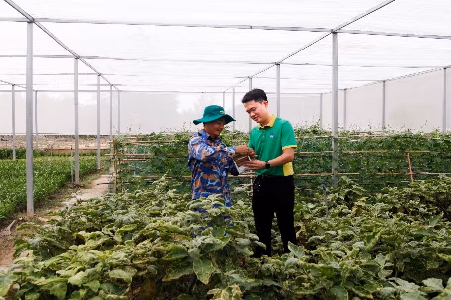 Hướng dẫn các chiến sĩ sử dụng phân bón để chăm sóc cây trồng hiệu quả.