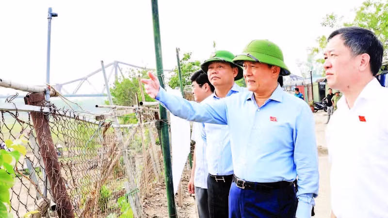 Chủ tịch Hội đồng nhân dân thành phố Hà Nội Nguyễn Ngọc Tuấn thị sát tình hình quản lý đất đai khu vực ngoài đê sông Hồng.