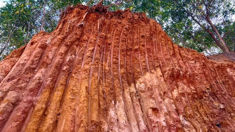 Dấu vết của xe múc thực hiện khai thác đất, đá trái phép tại hiện trường vụ việc.