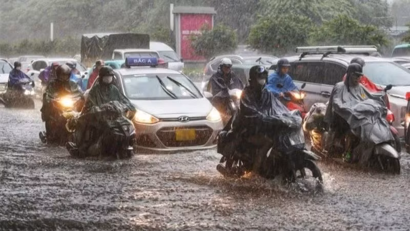 Ngày 31/10, Bộ Nông nghiệp và Phát triển nông thôn đã phát ra công văn số 8228/BNN-ĐĐvề việc chủ động ứng phó với mưa lớn, lũ miền trung trong 10 ngày tới.