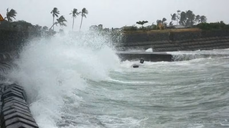 Ảnh minh họa. Ảnh minh họa.