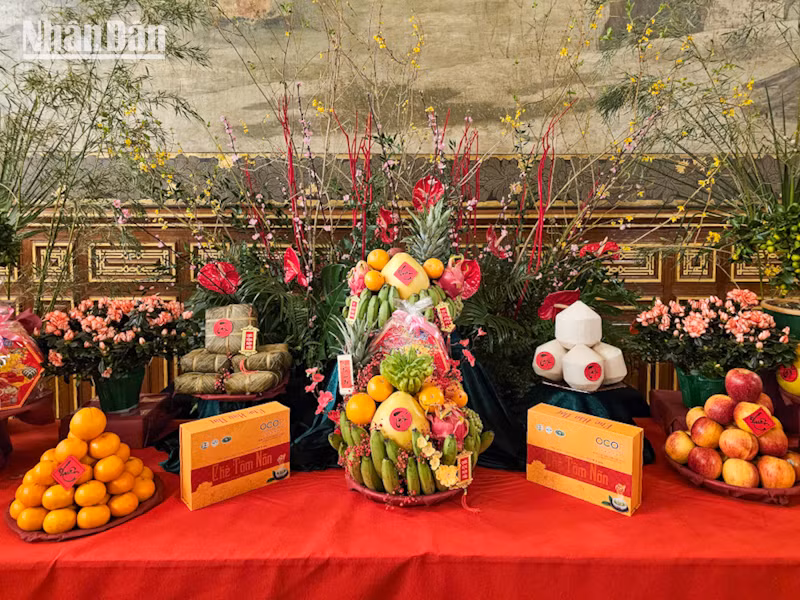 Mâm ngũ quả mang không khí thân thuộc ấm cúng của ngày Tết tới bà con kiều bào. (Ảnh: KHẢI HOÀN) Mâm ngũ quả mang không khí thân thuộc ấm cúng của ngày Tết tới bà con kiều bào. (Ảnh: KHẢI HOÀN)