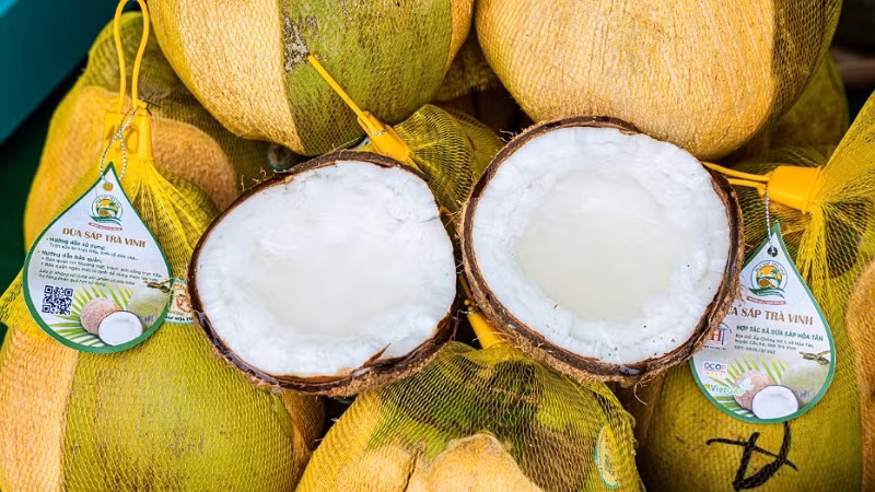 Dừa sáp, loại đặc sản nổi tiếng của huyện Cầu Kè, tỉnh Trà Vinh.
