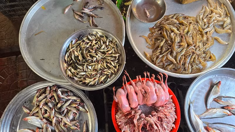 Vùng đầu nguồn nước nổi An Giang rất ít cá linh non, nhưng các chợ ở thành phố Cần Thơ thì bán cá linh to, giá rẻ gần phân nửa.