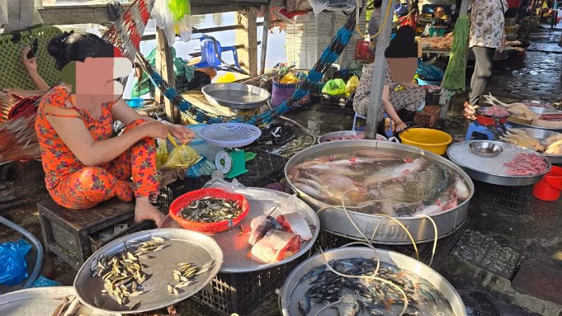 Cá linh non được bán tại chợ khu dân cư 586, phường Phú Thứ, quận Cái Răng với giá 200.000 đồng/kg.