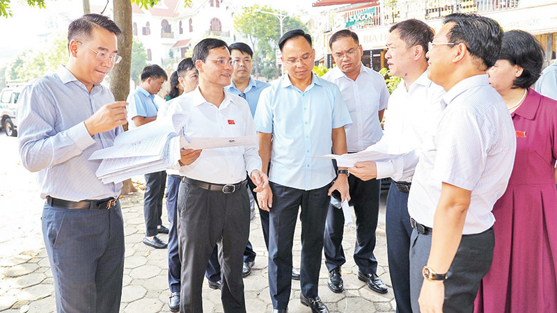 Đoàn khảo sát của Thường trực HĐND thành phố Hà Nội khảo sát thực tế khu vực xây dựng trường học tại địa bàn quận Hoàng Mai. (Ảnh GIA HUY)