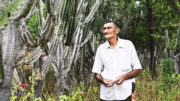 Ông Nascimento nỗ lực bảo vệ đất trước tình trạng sa mạc hóa. Ảnh: PABLO PORCIUNCULA