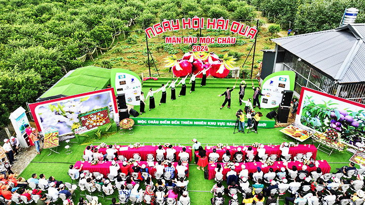 Mô hình khởi nghiệp của thanh niên góp phần phát triển du lịch tại Mộc Châu. Ảnh: NGỌC TUẤN