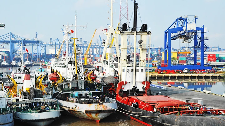 Đội tàu biển Việt Nam đứng thứ 22 trên thế giới