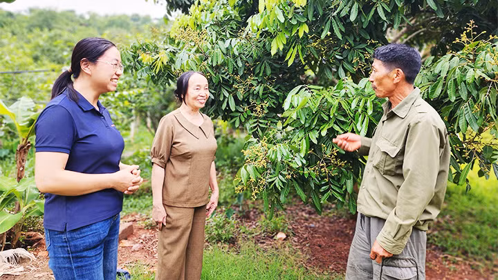 Cán bộ CLB cảm hóa (trái) thăm mô hình phát triển kinh tế của ông Lê Đình Ngoan.