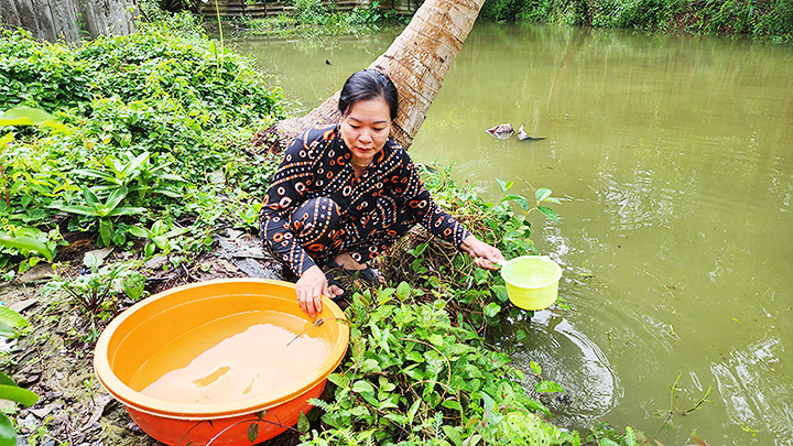 Người dân vẫn phải sử dụng nước kênh, rạch... lóng phèn trong sinh hoạt.
