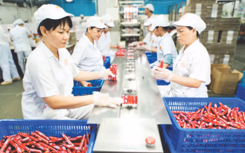 Sản xuất xúc xích tại Công ty cổ phần Việt Nam Kỹ nghệ súc sản. (Ảnh CTV)