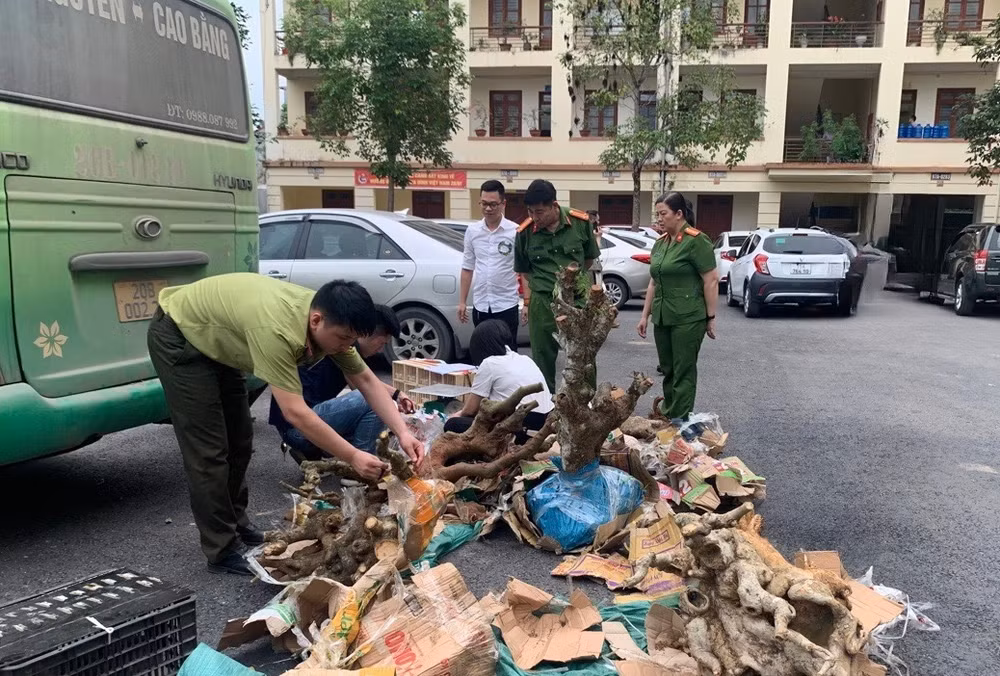 Lực lượng chức năng kiểm tra tang vật thu giữ trên xe khách. (Ảnh: Công an Bắc Kạn)