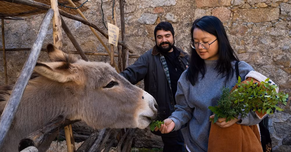 Hà Lệ Diễm trong một lần đến châu Âu.