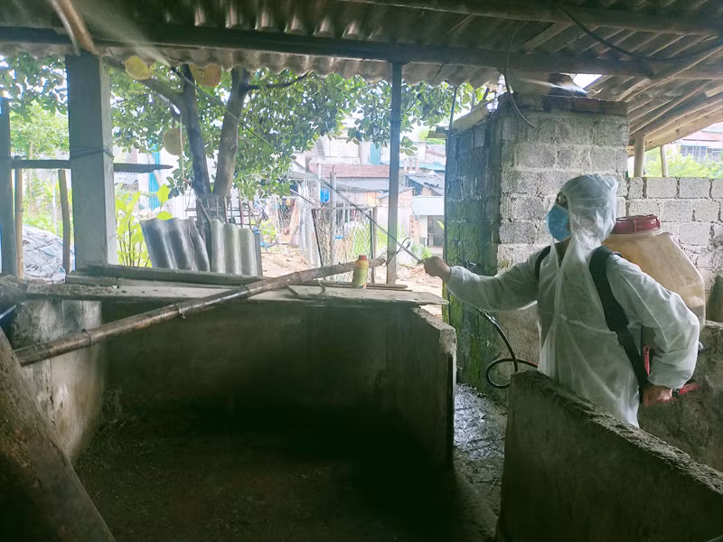 Người dân huyện Bạch Thông phun thuốc vệ sinh chuồng trại chăn nuôi phòng ngừa lây lan dịch tả lợn châu Phi.