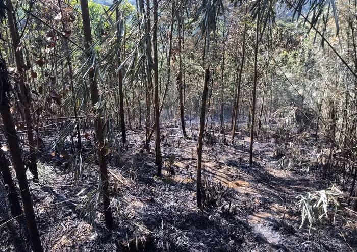 Hiện trường một đám cháy rừng sau khi đã được dập tắt tại Bắc Kạn vào ngày 31/5.