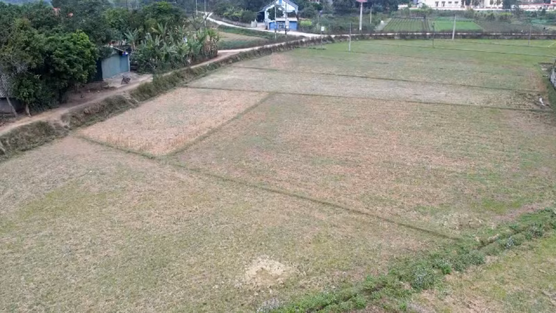 Một diện tích đã làm đất nhưng bỏ không vì không có giống hỗ trợ tại xã Cao Kỳ. (Ảnh: NGỌC TÚ). 