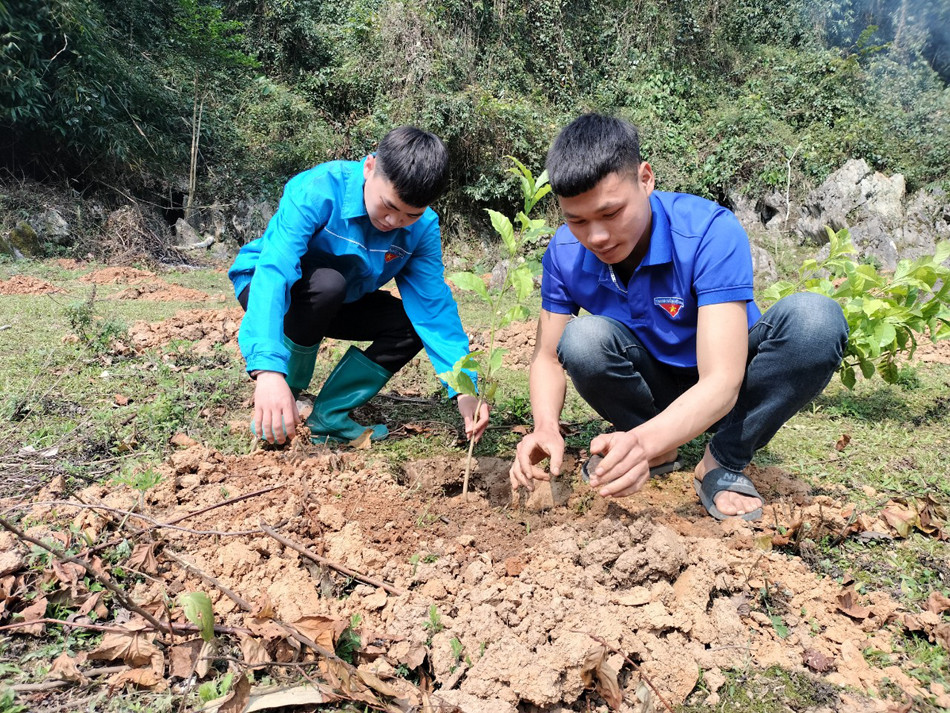 Đoàn viên, thanh niên tham gia trồng cây tại Lễ phát động.