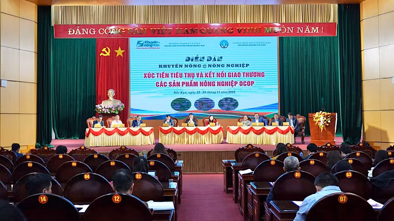 Hơn 200 đại biểu tham dự diễn đàn. (Ảnh: TUẤN SƠN)