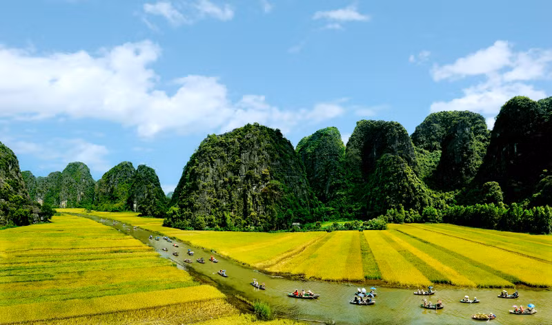 Ấn tượng Tam Cốc mùa lúa chín. (Ảnh: Sở Du lịch Ninh Bình)