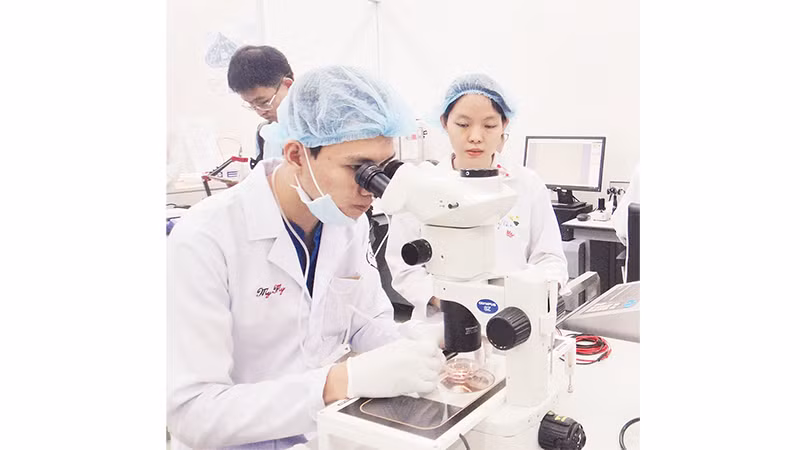 Hoạt động nghiên cứu khoa học tại Đại học Quốc gia Thành phố Hồ Chí Minh.