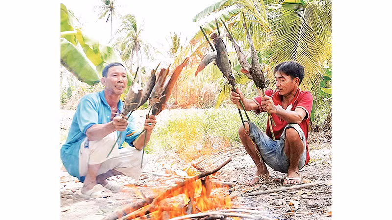 Gia chủ lựa cá đồng ngon nướng ngay tại ruộng để thết đãi chòm xóm đến phụ giúp chụp đìa