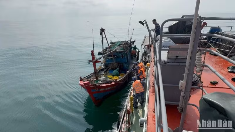 Bộ đội Biên phòng Quảng Trị kiểm tra tàu cá hành nghề giã cào trái phép trên vùng biển gần bờ.